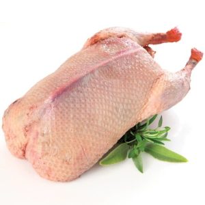 Turkey Meat